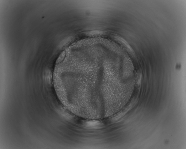 X0000101710669200808071224