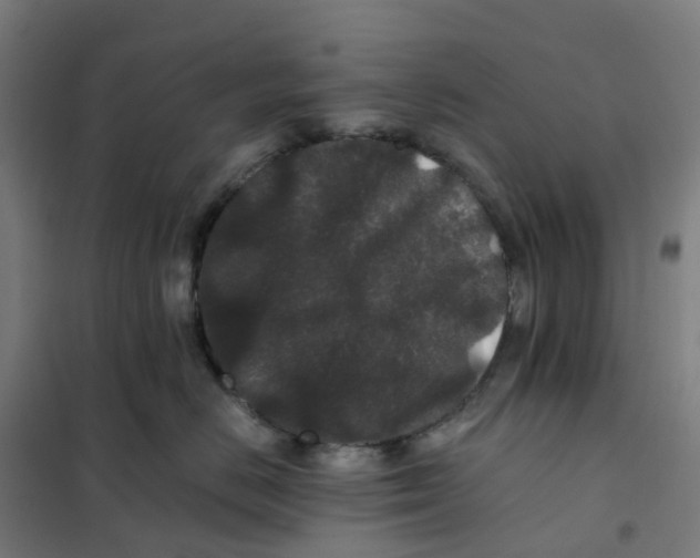 X0000101710670200808071224
