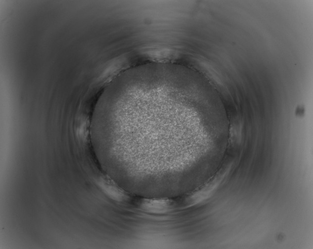 X0000101710671200808071224