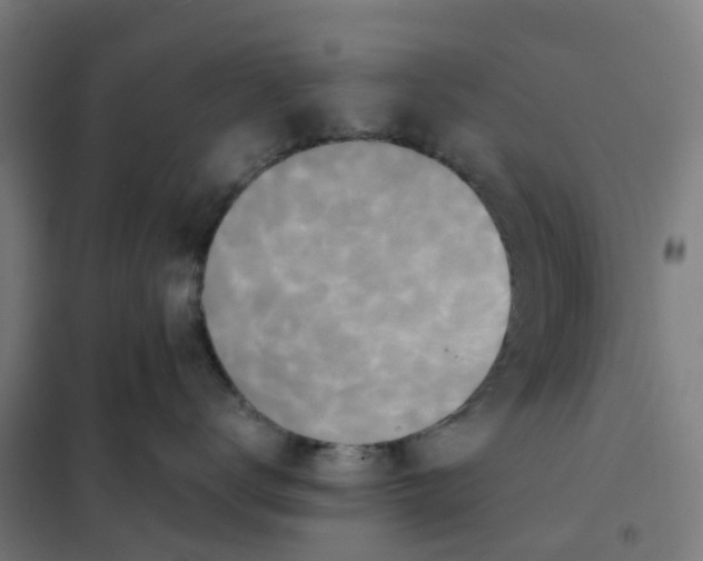 X0000101710672200808071224