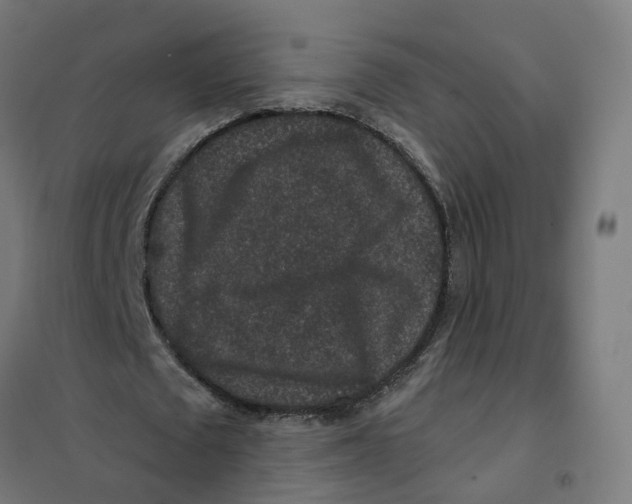 X0000101710673200808071224