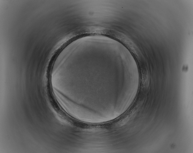 X0000101710674200808071224