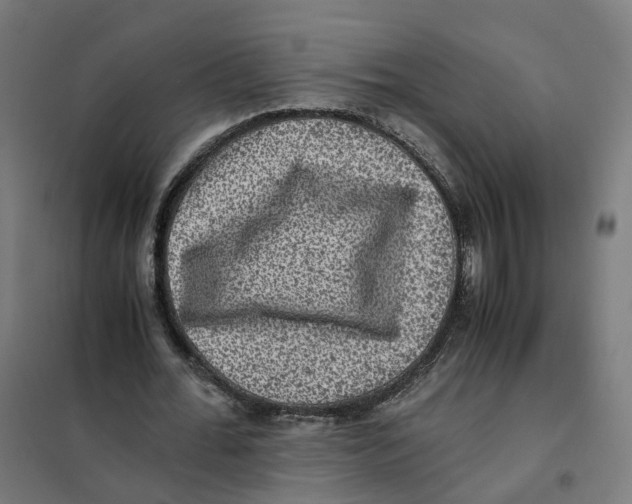 X0000101710676200808071224