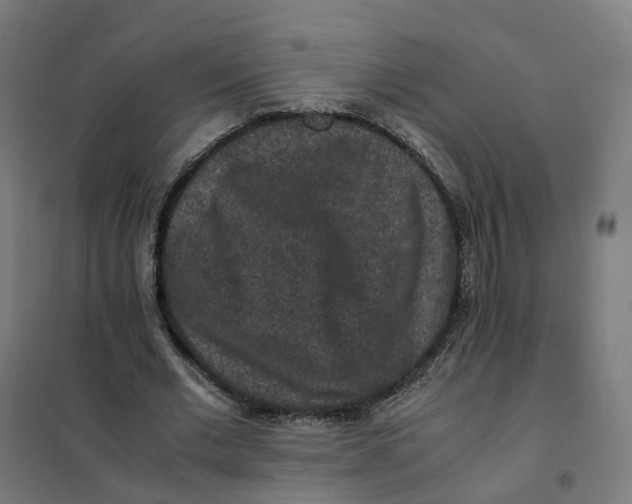 X0000101710677200808071224