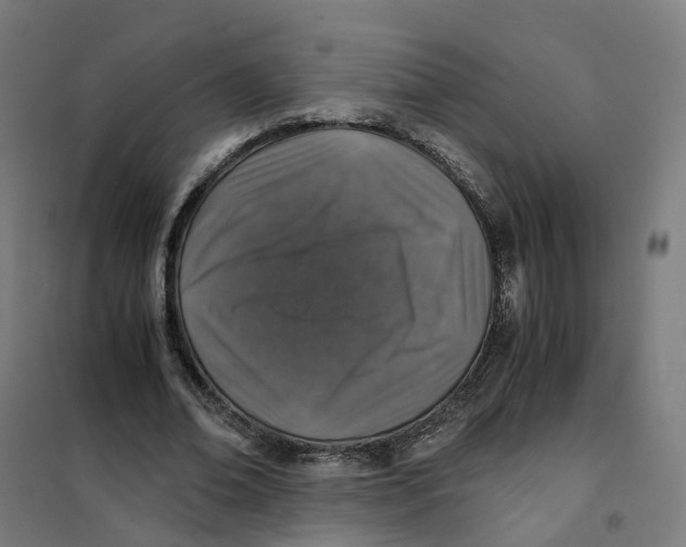 X0000101710678200808071223