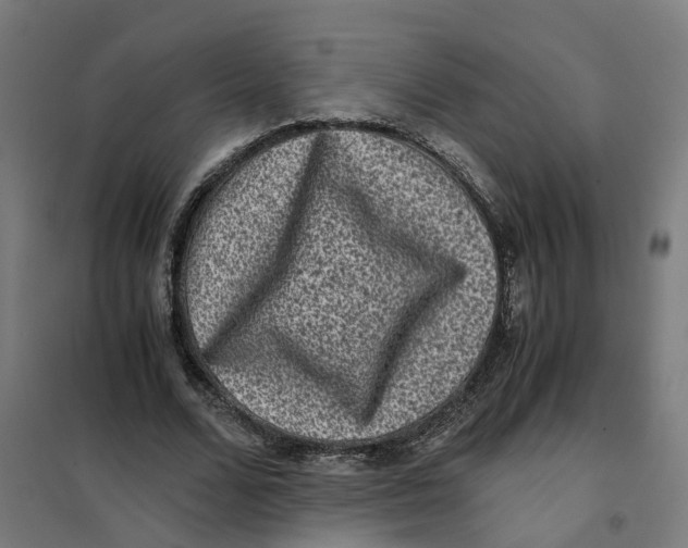 X0000101710680200808071223