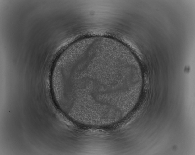 X0000101710681200808071223