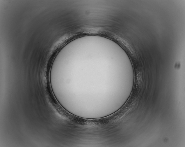 X0000101710682200808071223