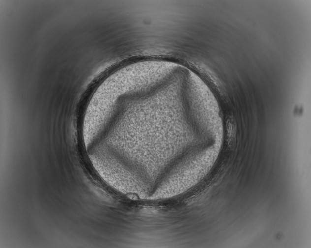 X0000101710684200808071223