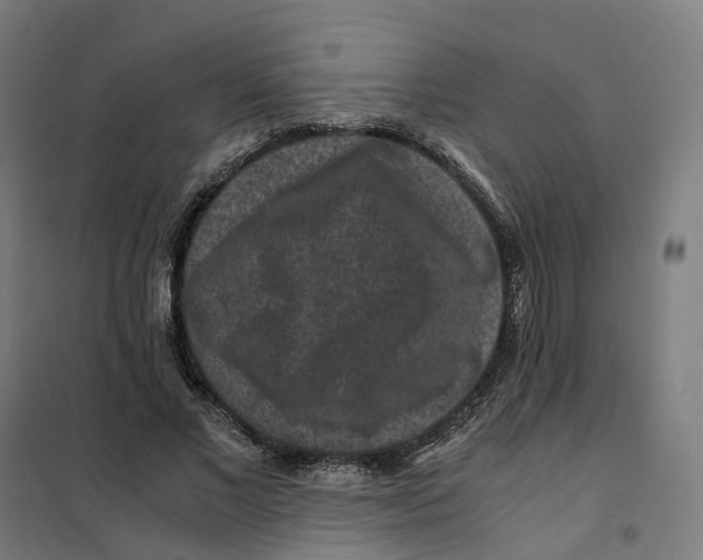 X0000101710685200808071223