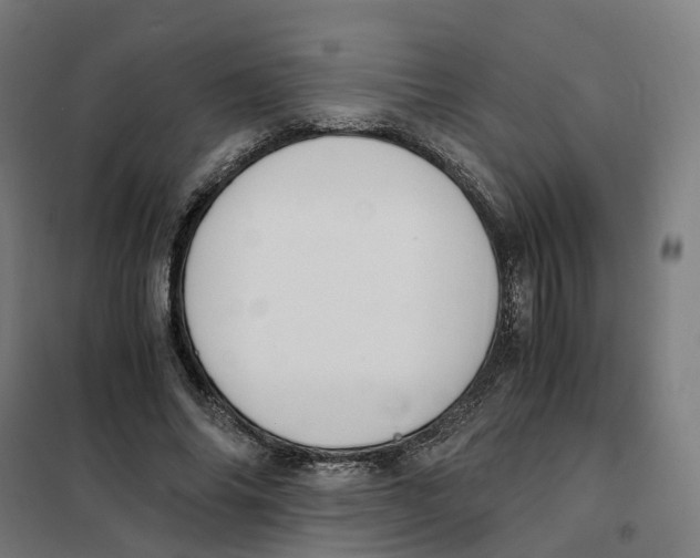 X0000101710686200808071223