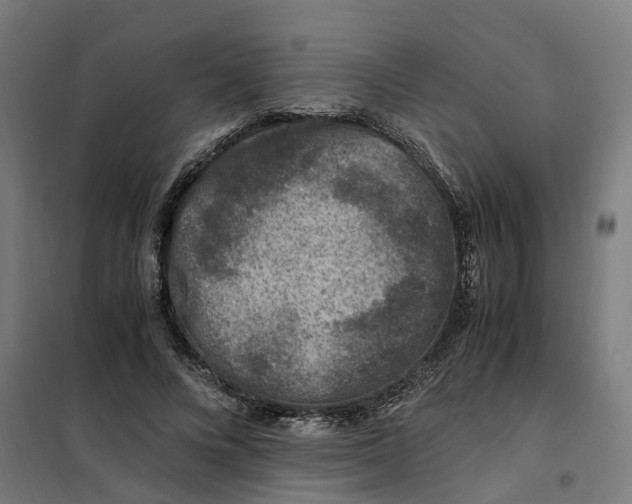 X0000101710688200808071223