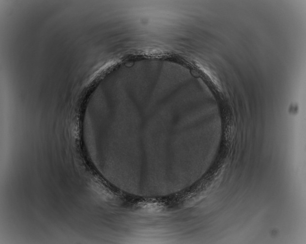 X0000101710689200808071223