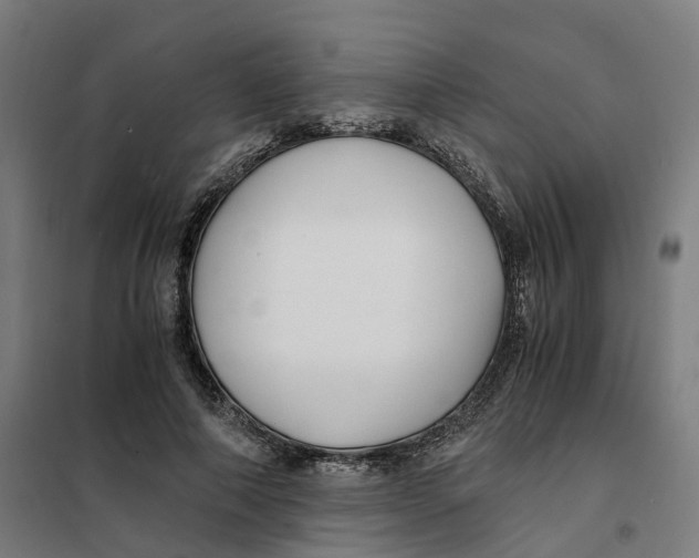 X0000101710690200808071223