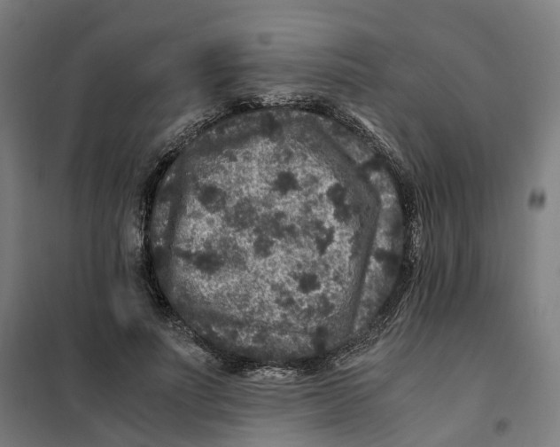 X0000101710691200808071223