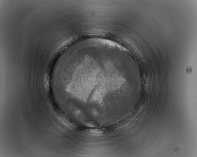 X0000101710692200808071223