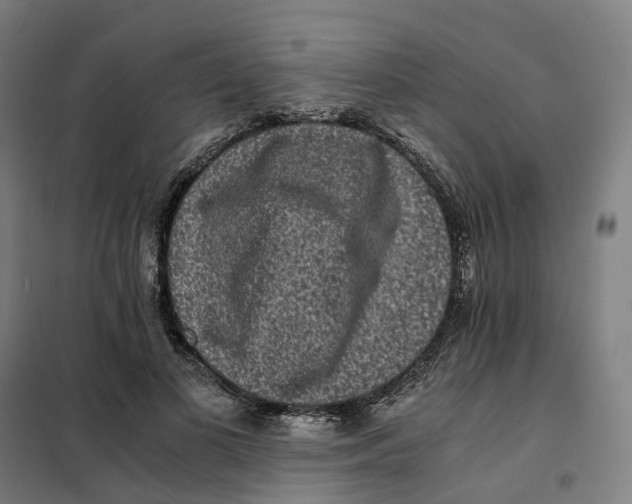 X0000101710693200808071223