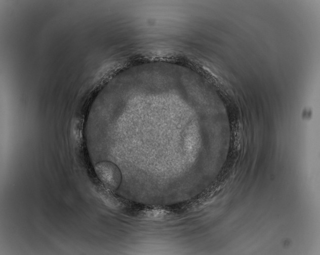 X0000101710695200808071223