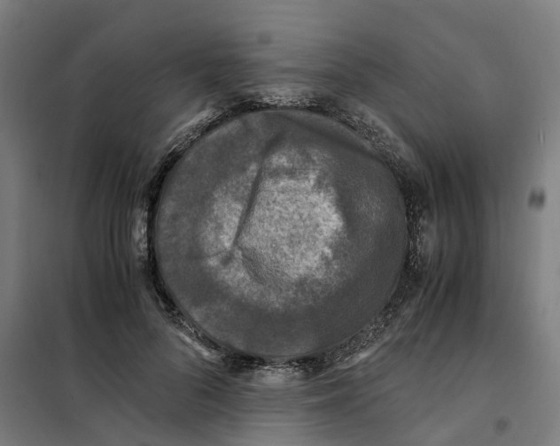 X0000101710696200808071223