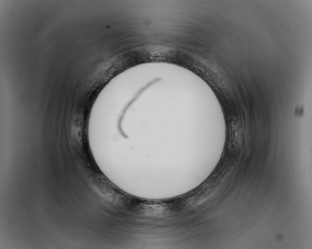 X0000101710698200808071223