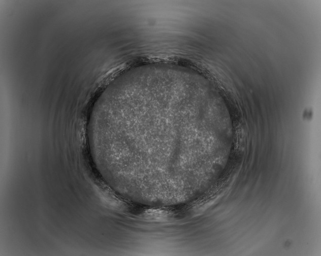 X0000101710699200808071223