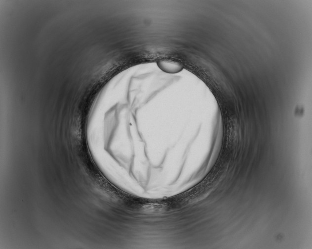 X0000101710700200808071223