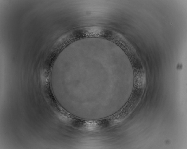 X0000101710701200808071223
