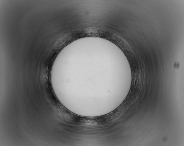 X0000101710702200808071223