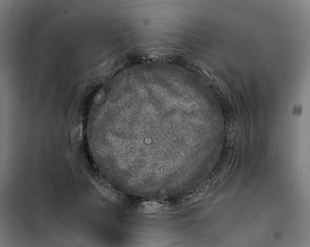 X0000101710703200808071223