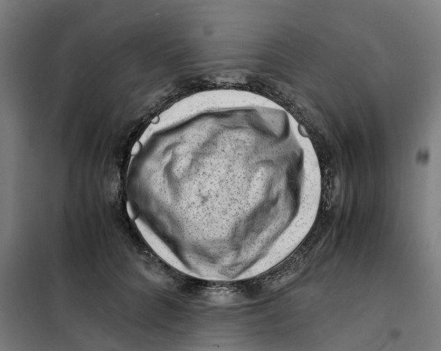 X0000101710704200808071223