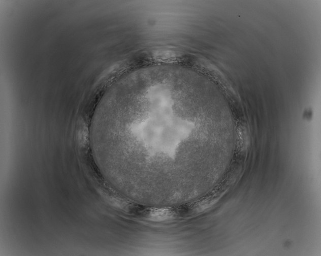 X0000101710705200808071223