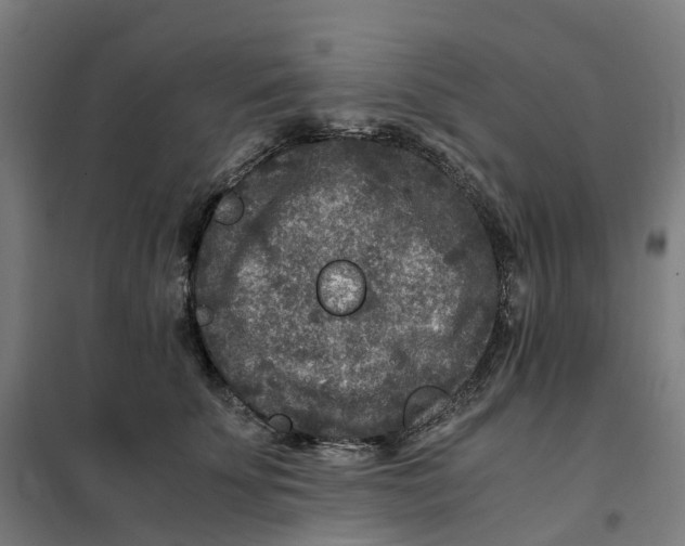 X0000101710707200808071223