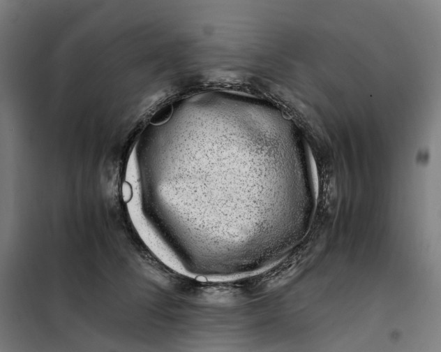 X0000101710708200808071223