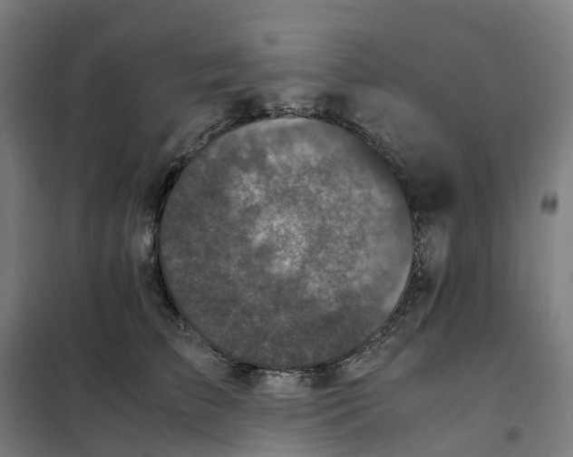X0000101710709200808071223