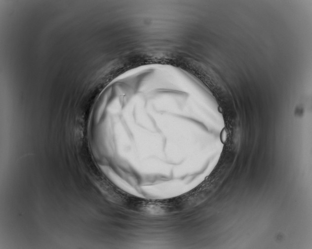 X0000101710710200808071223