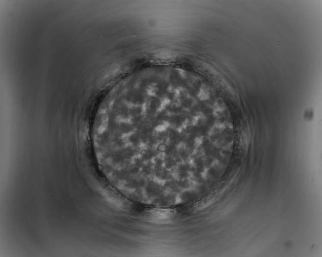 X0000101710711200808071223