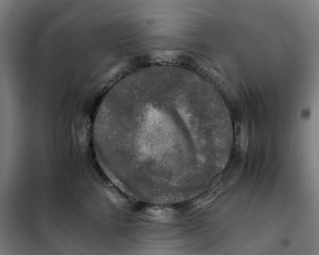 X0000101710712200808071223