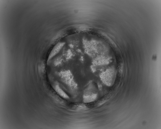 X0000101710715200808071223