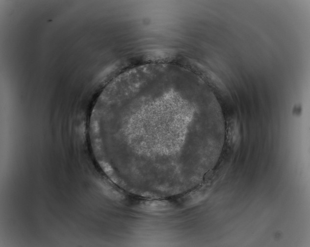 X0000101710716200808071223