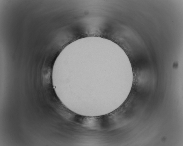 X0000101710717200808071223