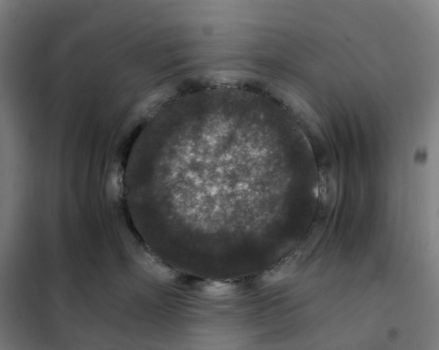 X0000101710718200808071223