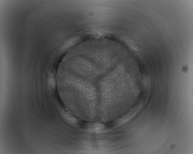X0000101710719200808071223