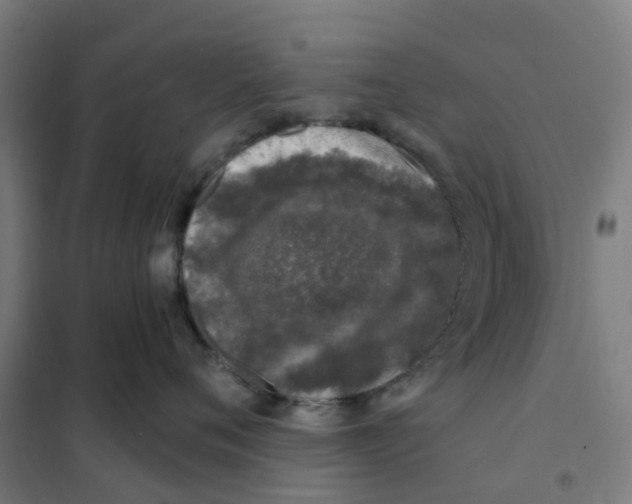X0000101710720200808071223