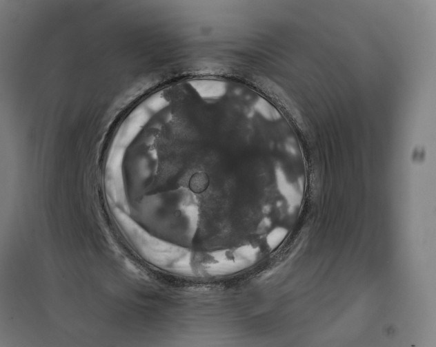 X0000101710721200808071222