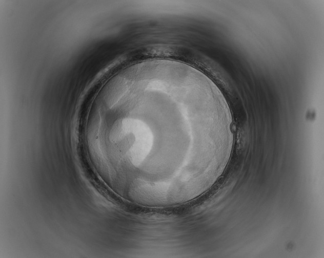 X0000101710722200808071222