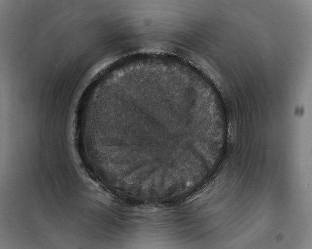 X0000101710724200808071222