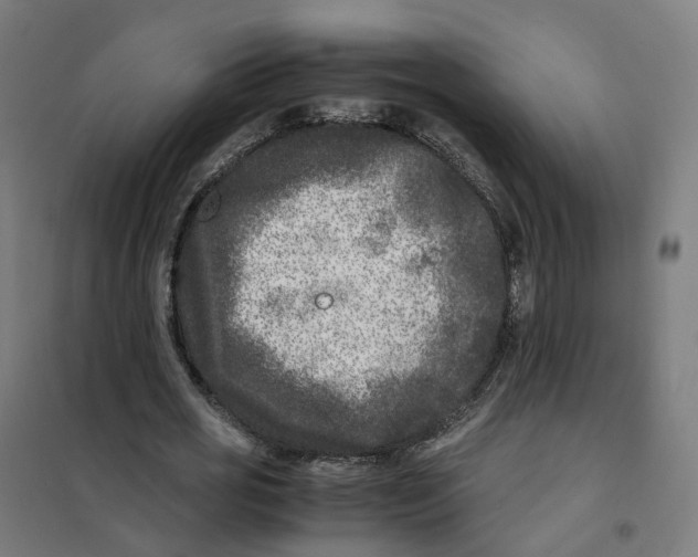 X0000101710725200808071222