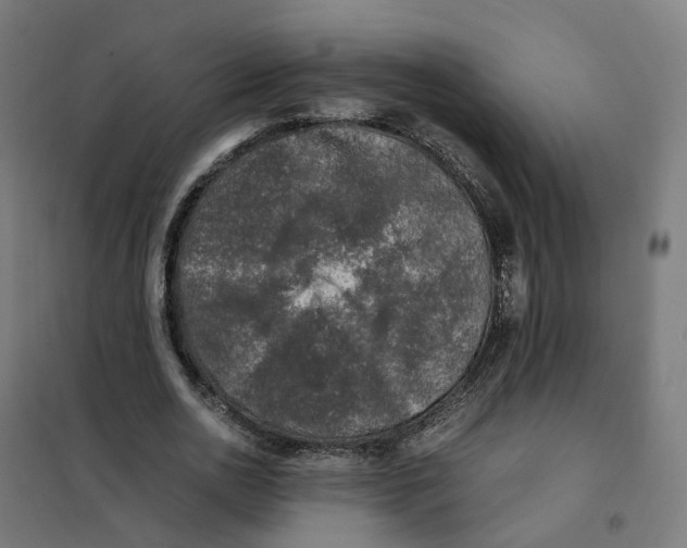 X0000101710726200808071222