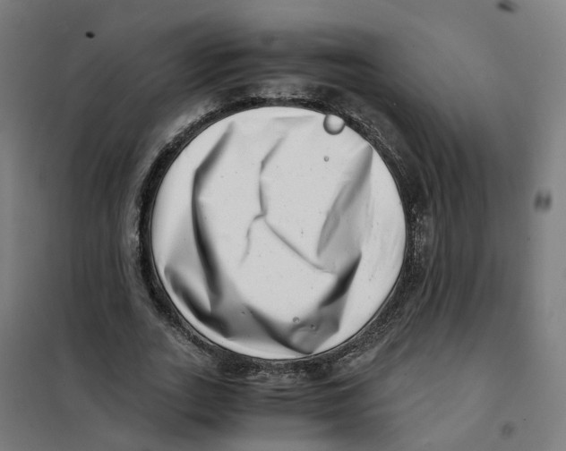 X0000101710727200808071222