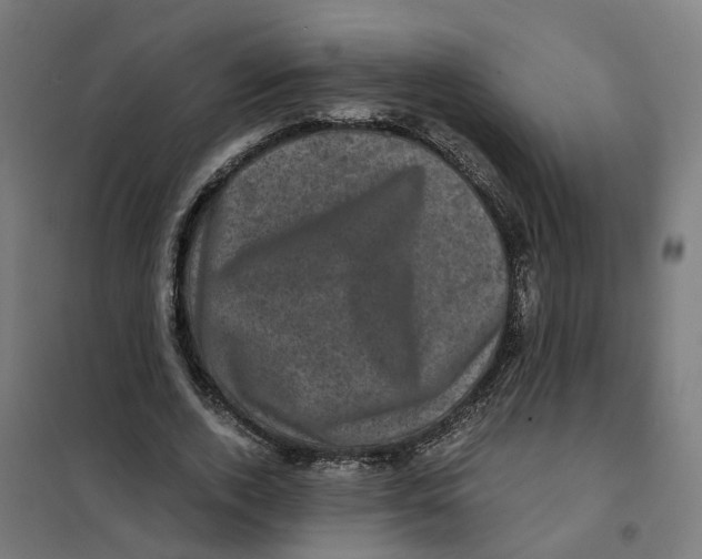 X0000101710728200808071222